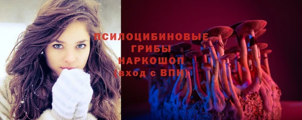 гашик Киреевск
