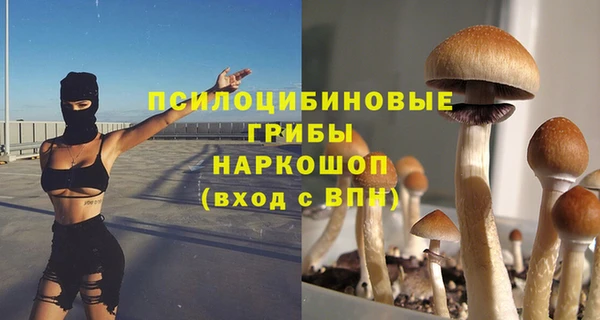 сатива Киренск